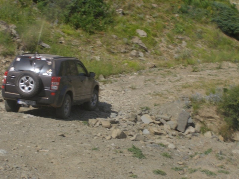 P8072136.jpg