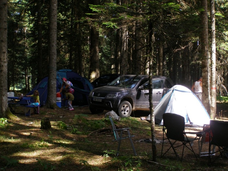 P8082151.jpg