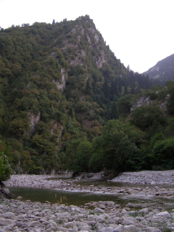P8082180.jpg