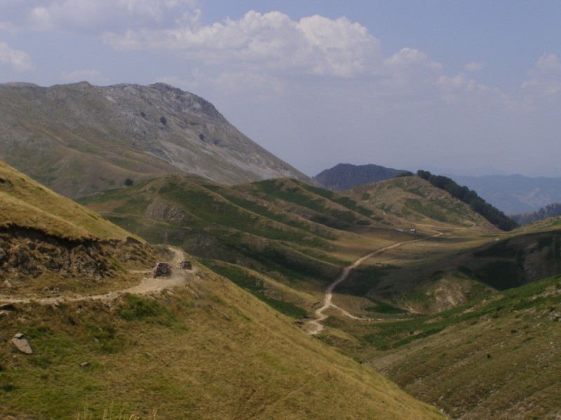 P8092201.jpg