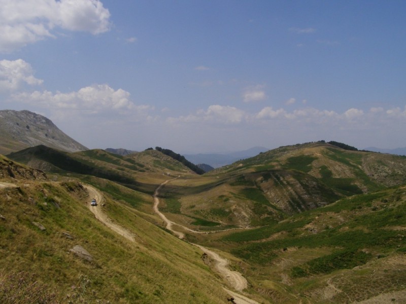 P8092204.jpg