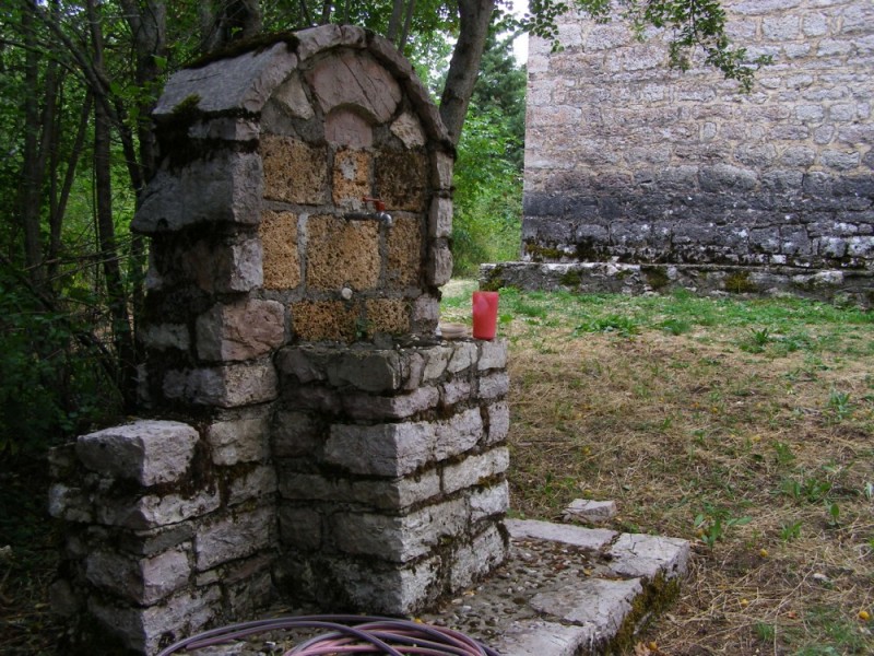 P8092220.jpg