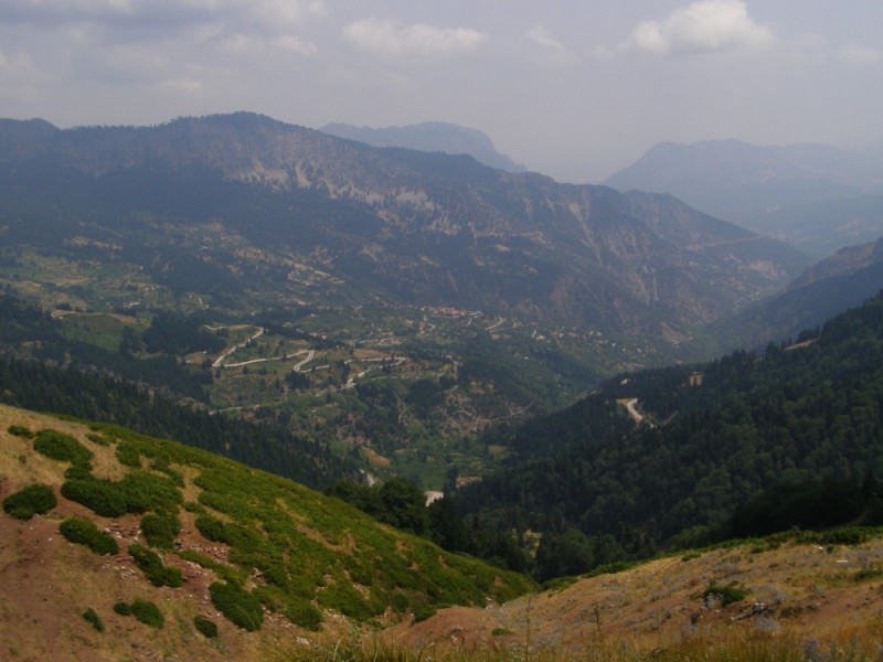 P8102262.jpg
