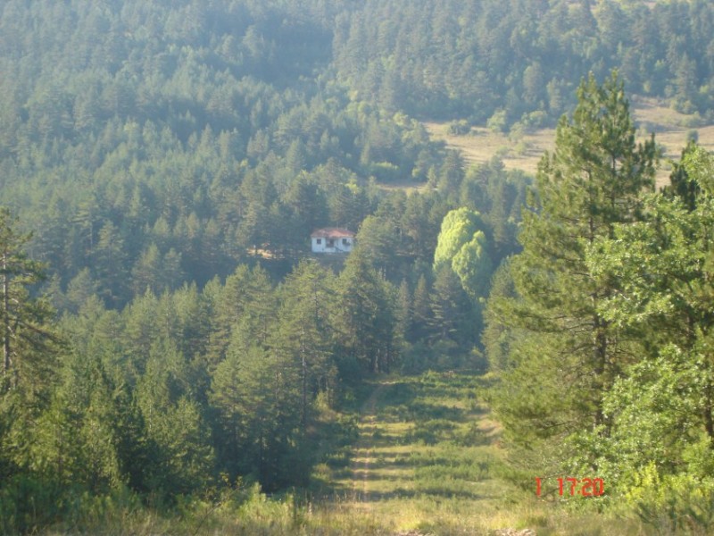 DSC04222.jpg