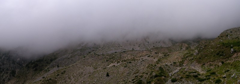 panorama 4 (2581 x 902).jpg