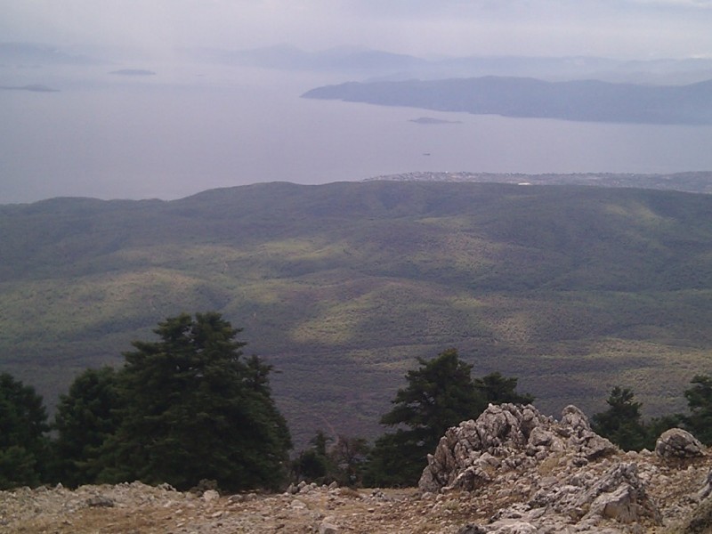 IMG_20120916_122506.jpg