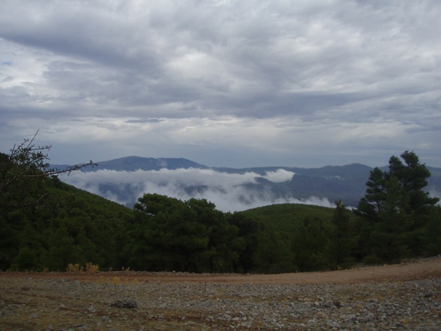 P1010123.JPG