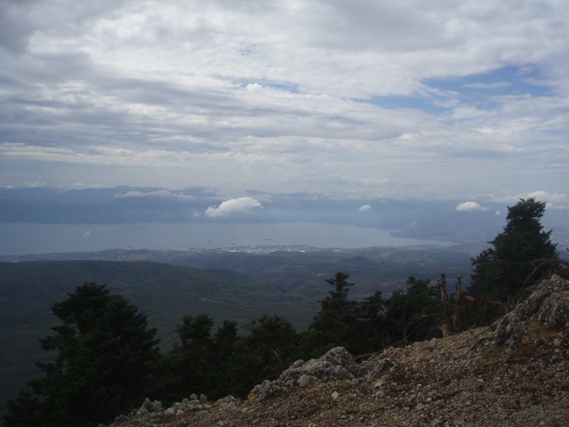 P1010156.JPG
