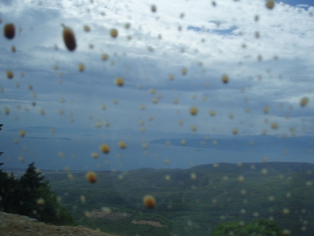 P1010176.JPG