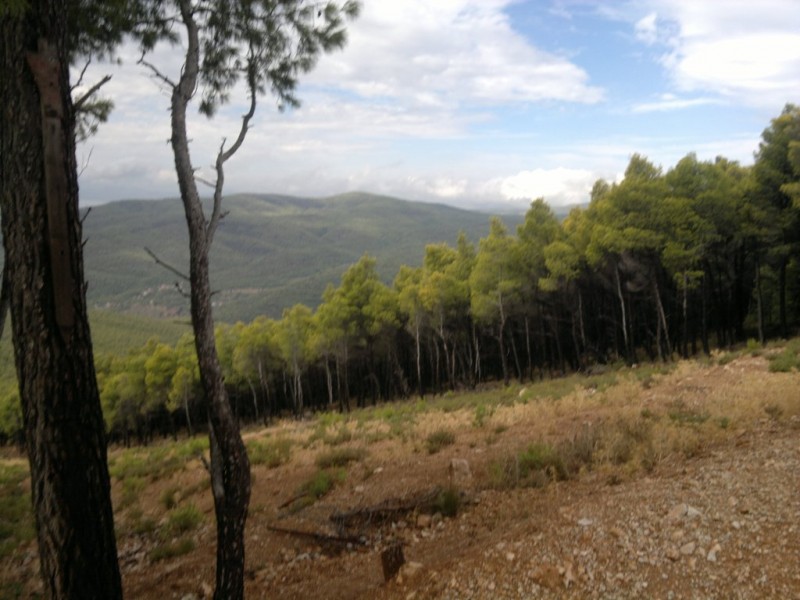 16092012265.jpg