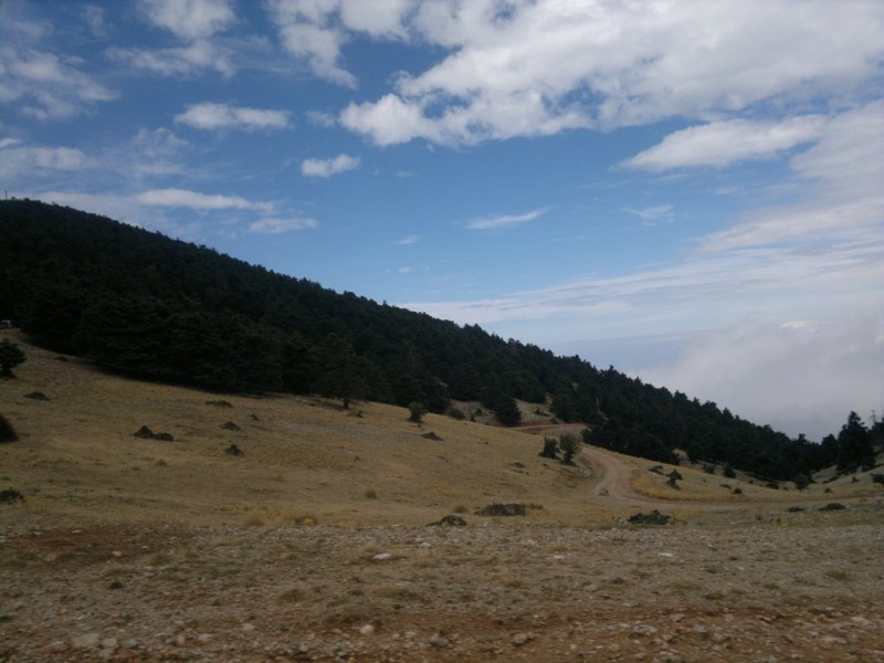 16092012275.jpg
