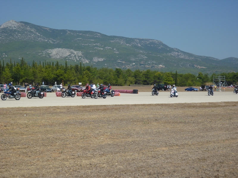 tatoi 2012 019.jpg