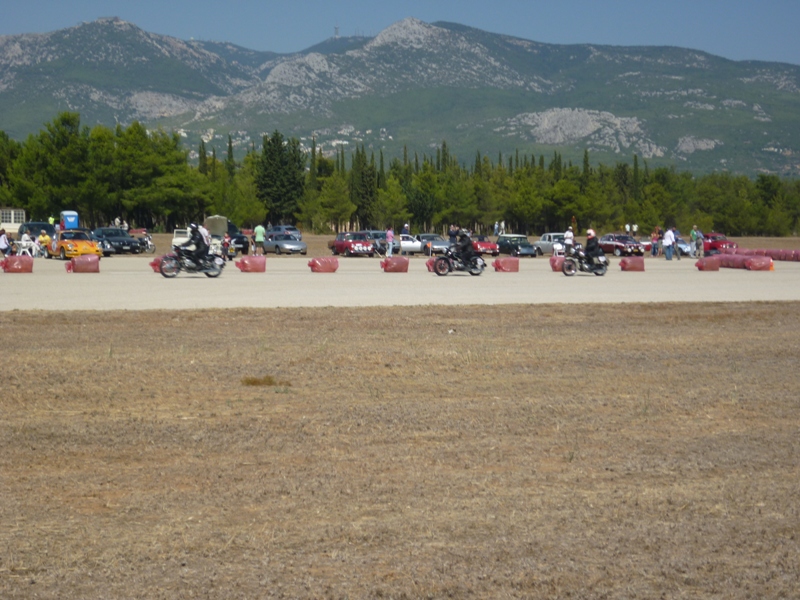 tatoi 2012 018.jpg