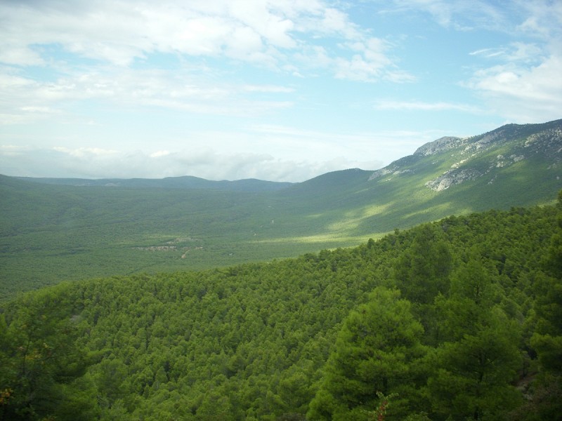 DSCN0011.JPG