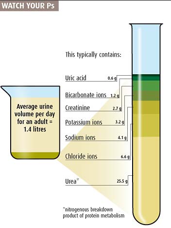 urine-contents.jpg