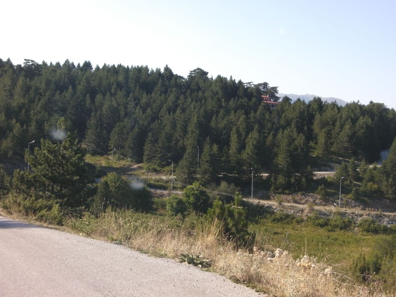 SANY0014.JPG