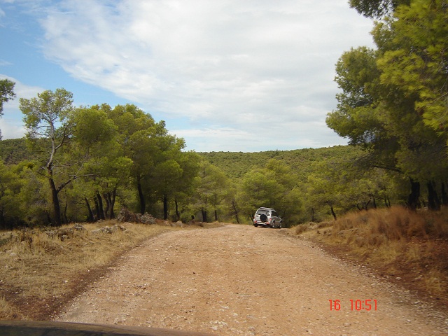 DSC05598.JPG