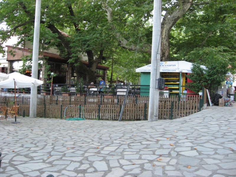 IMG_3837.JPG