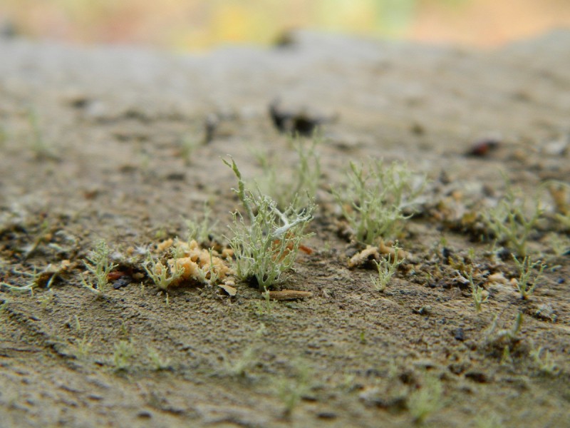 DSCN3295.JPG
