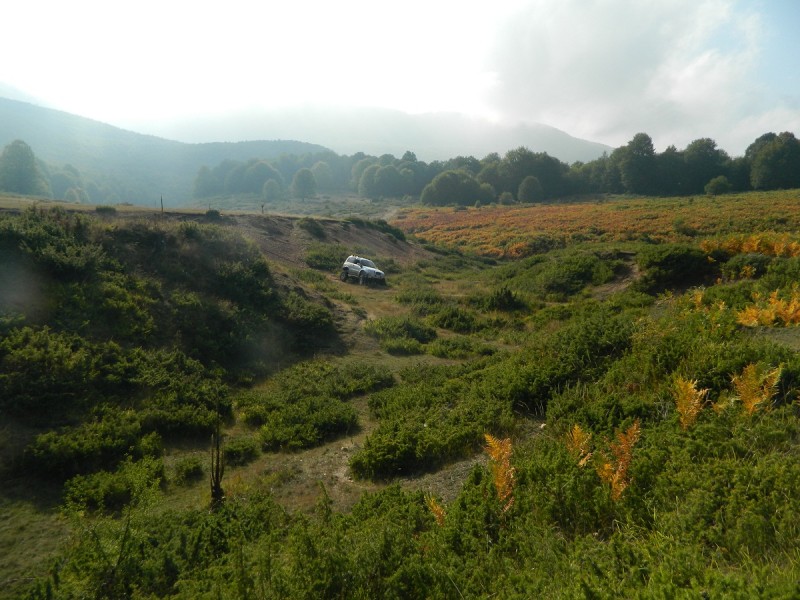 DSCN3565.JPG