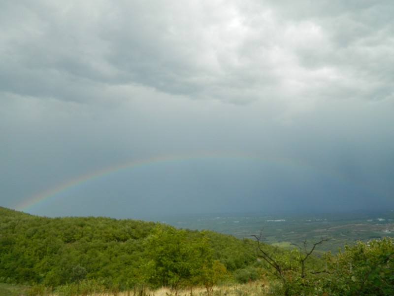 DSCN3638.JPG