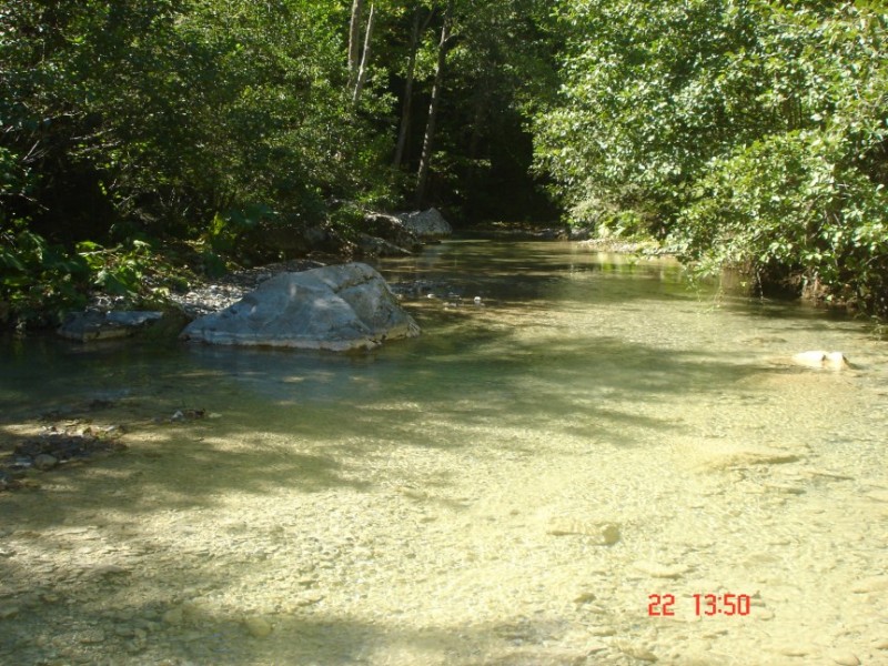DSC04475.jpg
