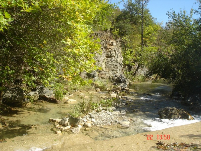 DSC04477.jpg