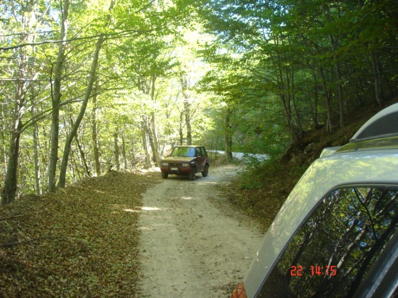DSC04480.jpg