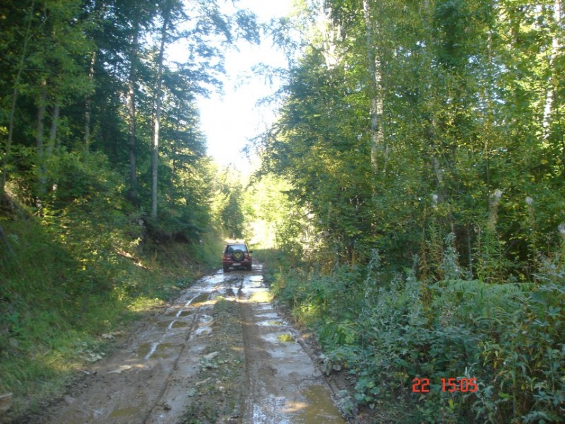 DSC04493.jpg