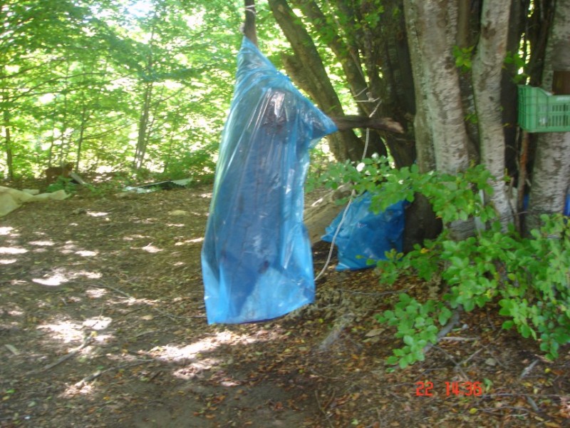 DSC04483.jpg