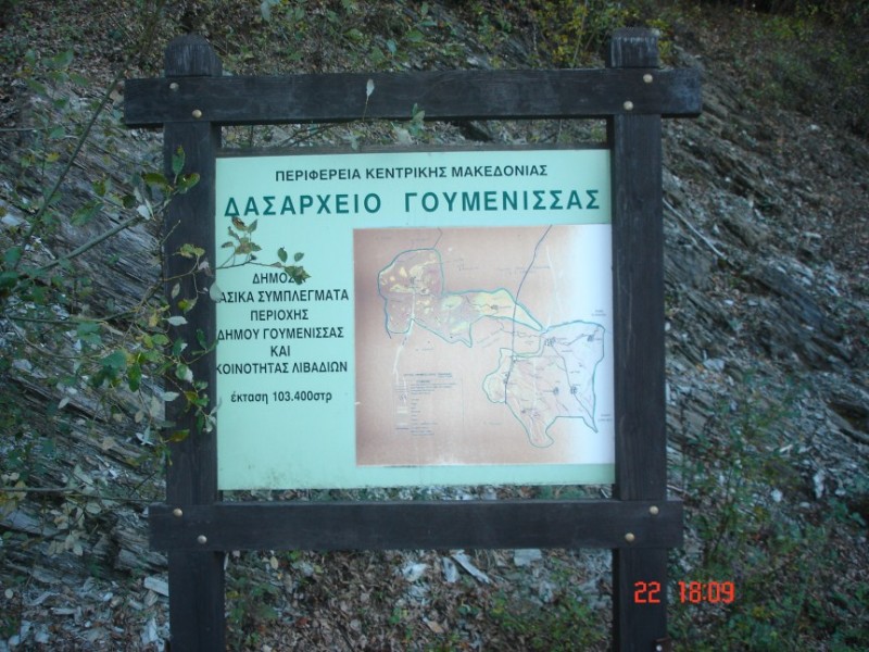 DSC04505.jpg