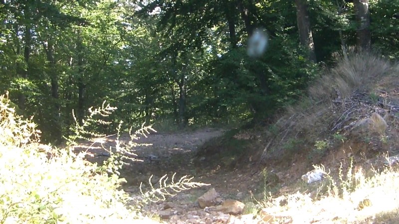 CI-132307852830251967.jpg