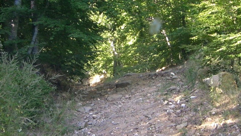 CI118203876830251967.jpg