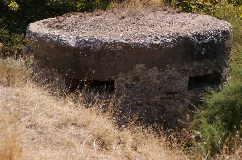 Αντίγραφο από DSC03411.JPG