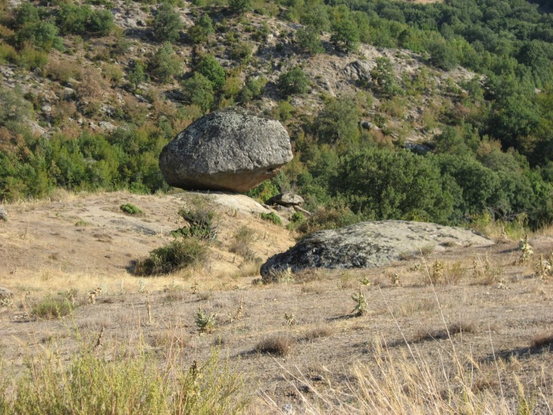 Αντίγραφο από IMG_4210.JPG