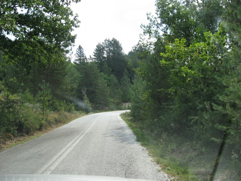 Αντίγραφο από IMG_4243.JPG