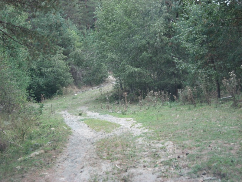 Αντίγραφο από IMG_4276.JPG