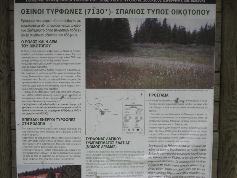 Αντίγραφο από IMG_4308.JPG
