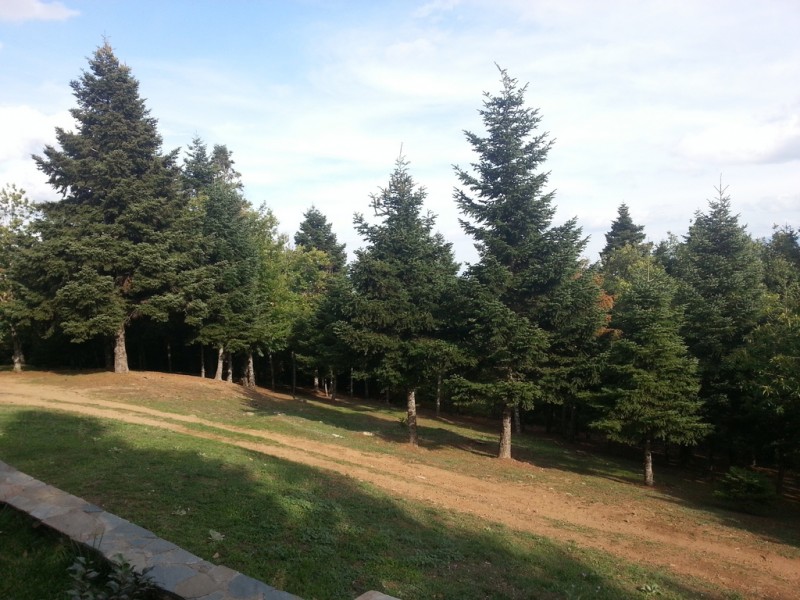 20121012_161750 (Αντιγραφή).jpg