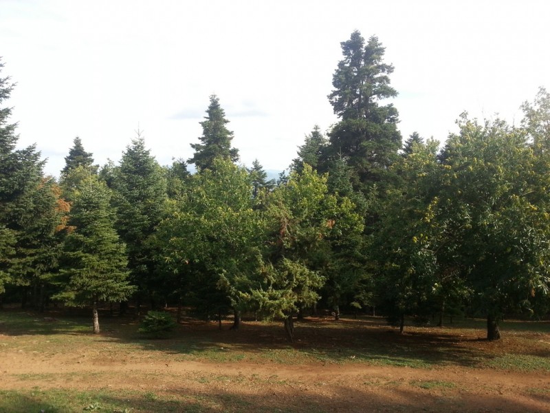 20121012_161752 (Αντιγραφή).jpg