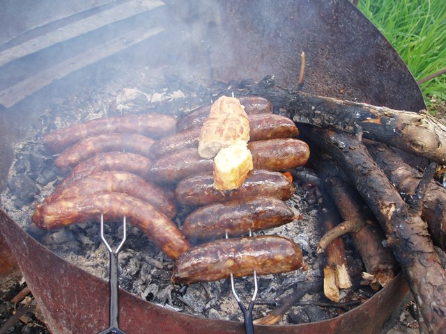 P1010208.JPG
