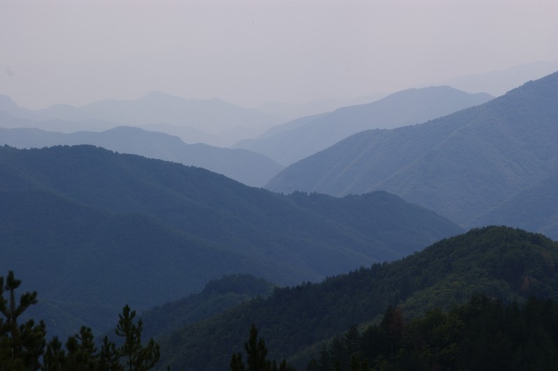 Αντίγραφο από DSC03495.JPG