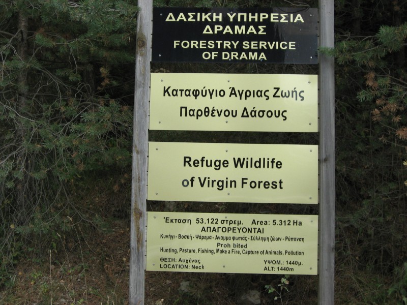 Αντίγραφο από IMG_4380.JPG