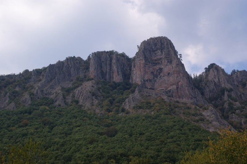 Αντίγραφο από DSC03509.JPG