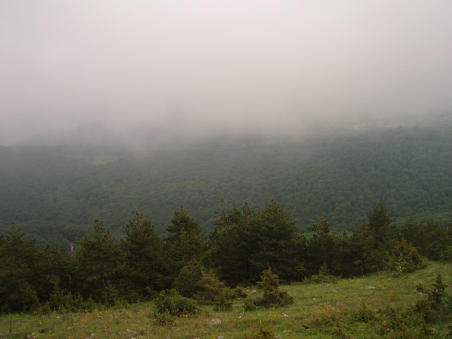 P1010222.JPG