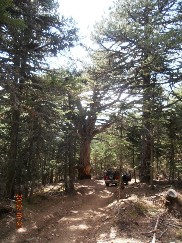 PA210034 (900 x 1200).jpg