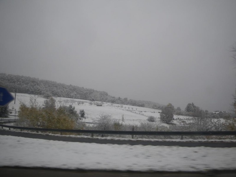 IMGP3456_1024x768.jpg