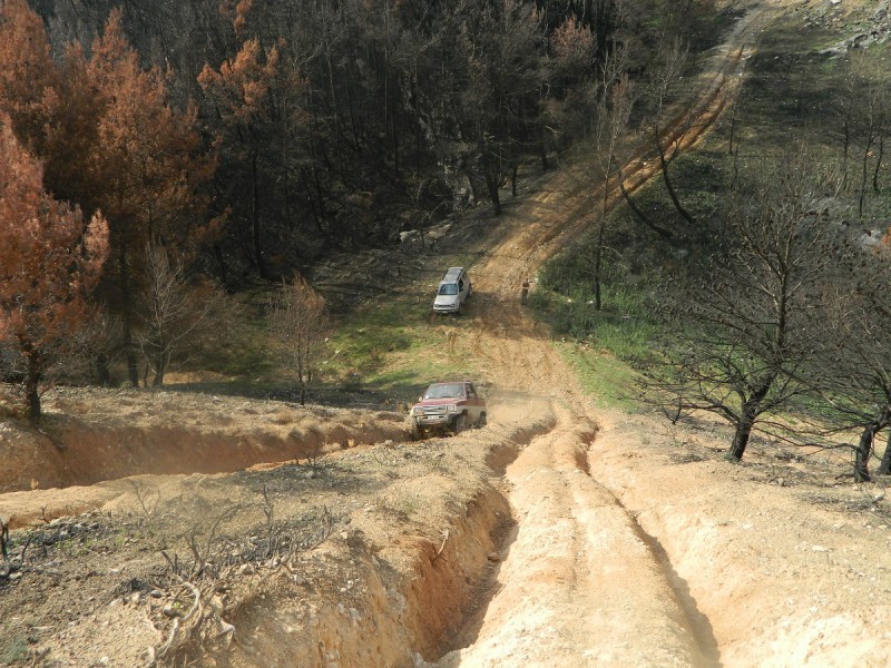 DSCN3714.JPG