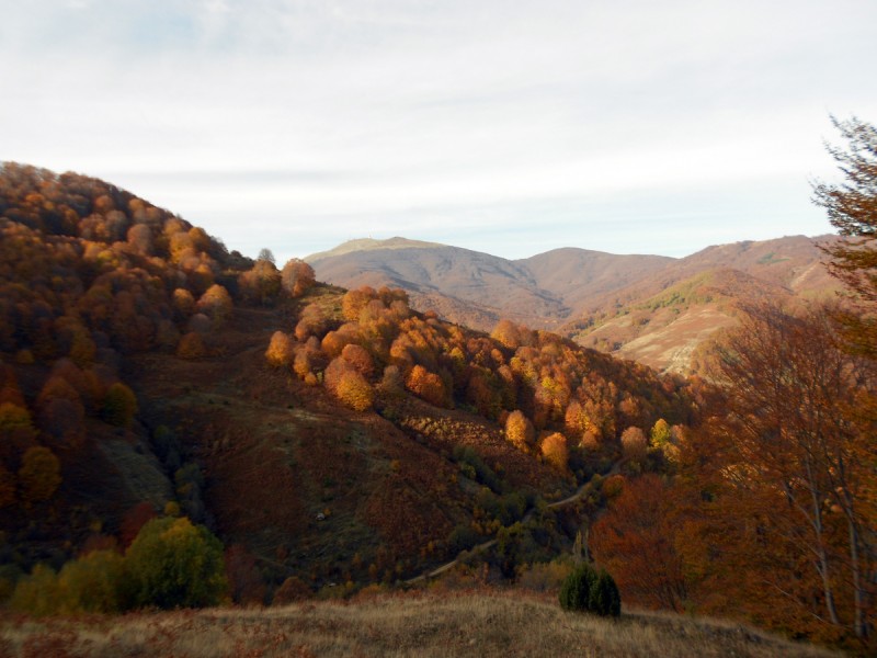 DSCN3340.JPG