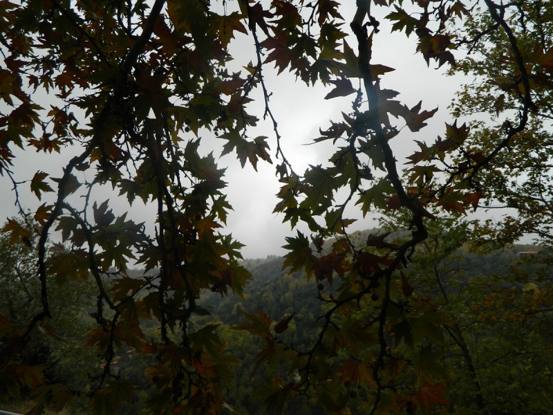 DSCN3830.JPG
